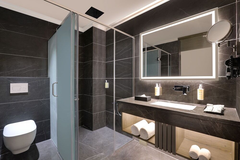 Ханзи: Lemon Tree Hotel Hisar