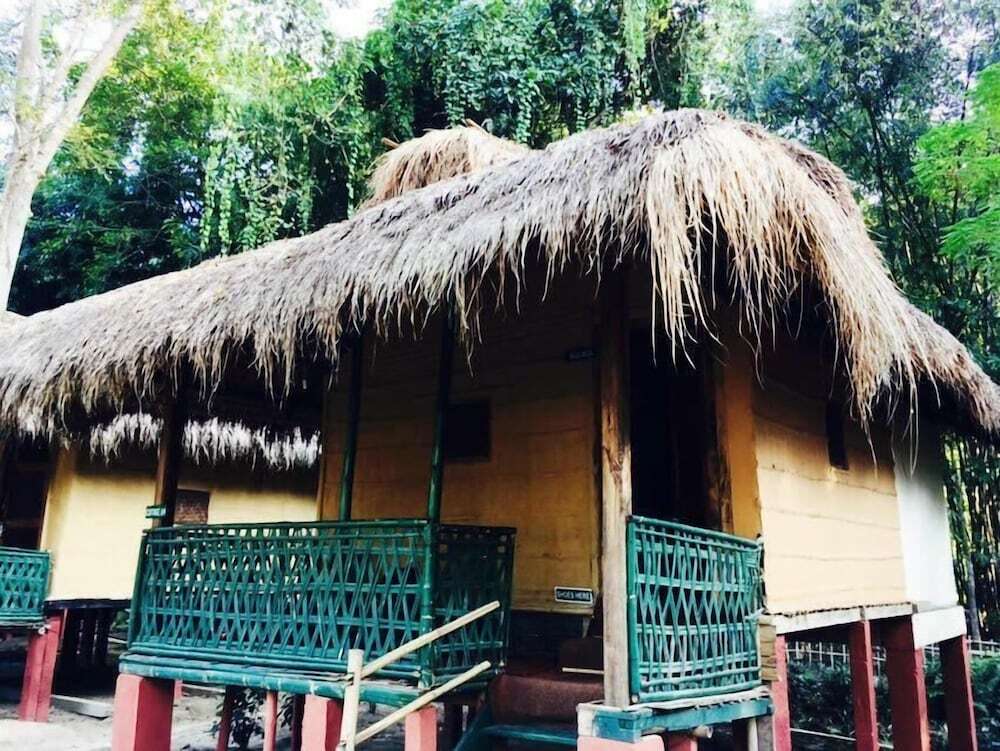 Кохора: Nature Hunt Eco Camp