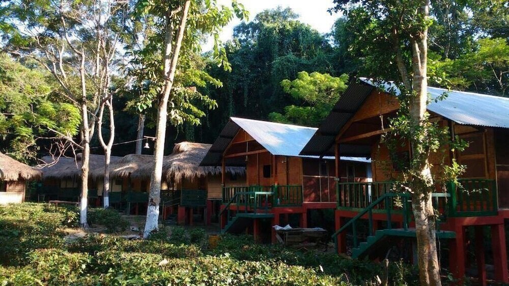 Кохора: Nature Hunt Eco Camp