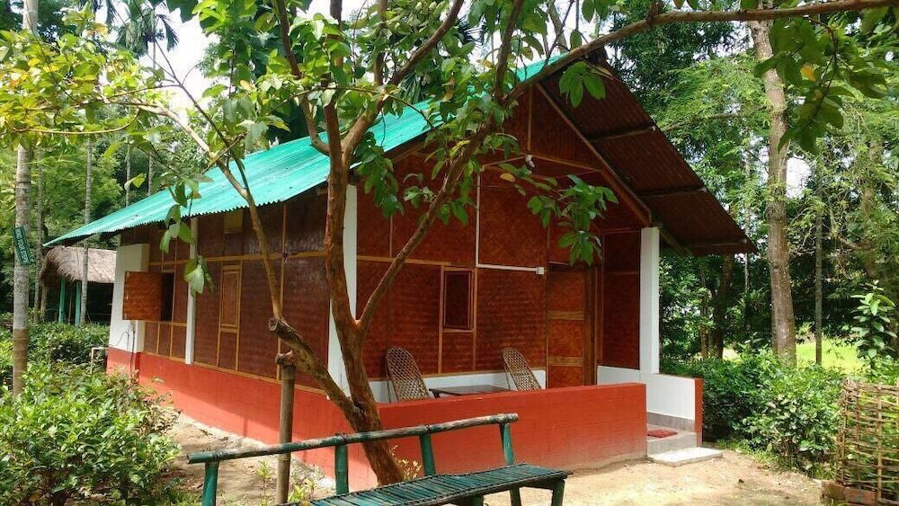 Кохора: Nature Hunt Eco Camp