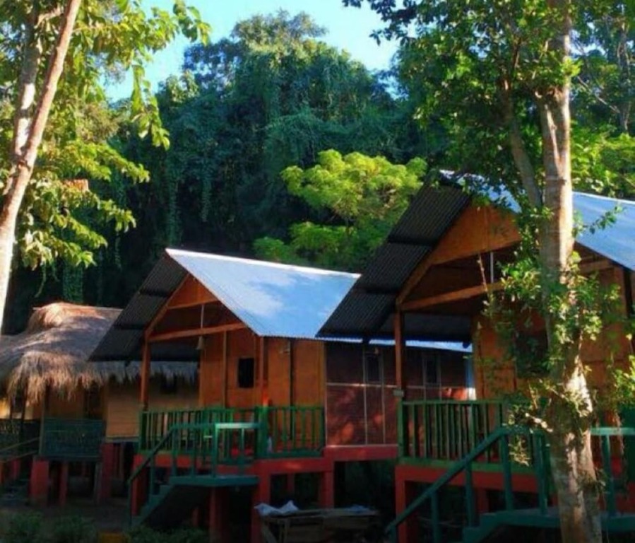 Кохора: Nature Hunt Eco Camp