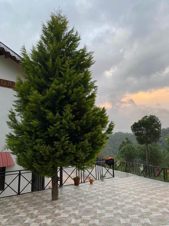 Раникхет: Blissful Villas Ranikhet