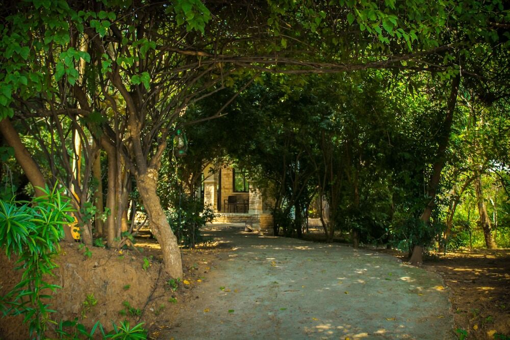 Панна: Panna Tiger Resort- River Side Property