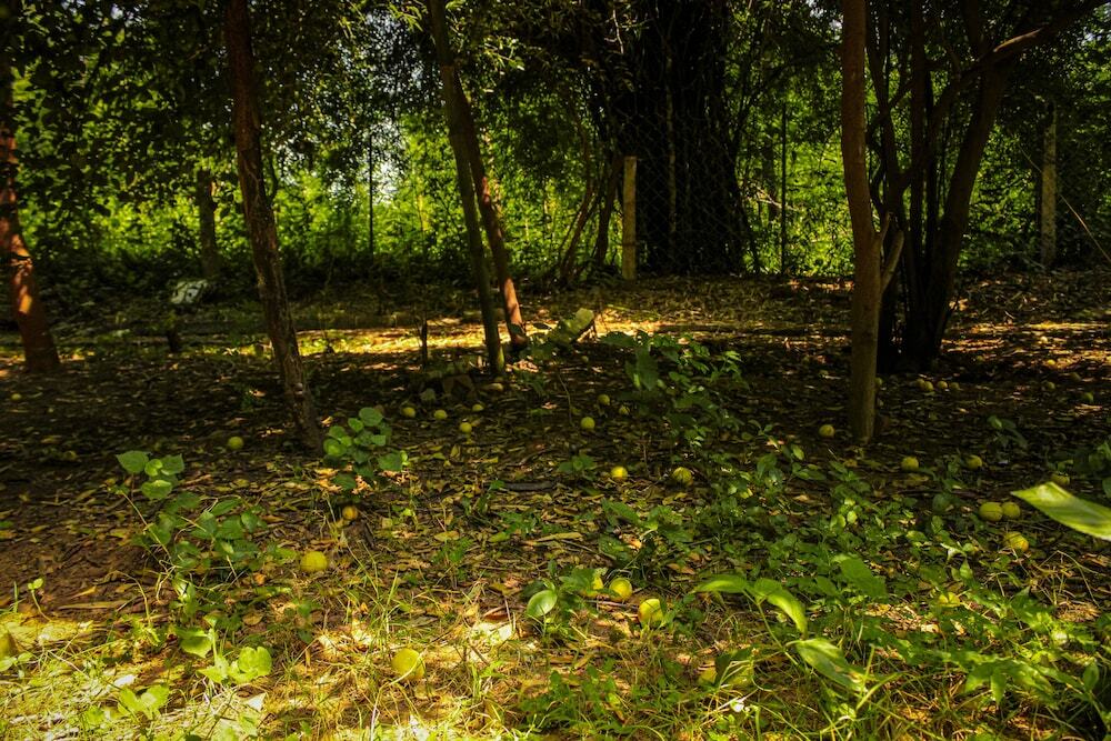Панна: Panna Tiger Resort- River Side Property