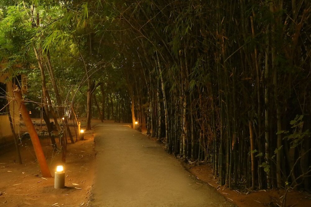 Панна: Panna Tiger Resort- River Side Property