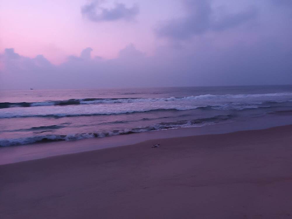 Пурнанкупам: Chan Beach Resort