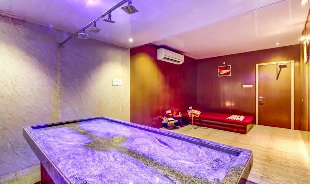 Вапи: Hotel Shree Daan