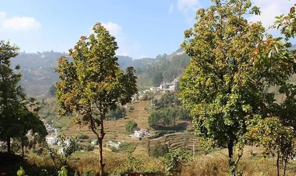 Кодайканал: Fabexpress Fruit Garden Residency