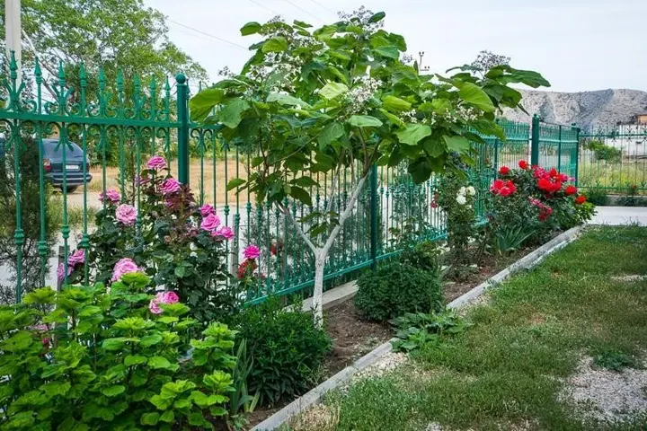 Судак: Mal'va Guest House