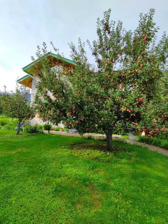 Манали: Cascade Mountain Retreat Manali