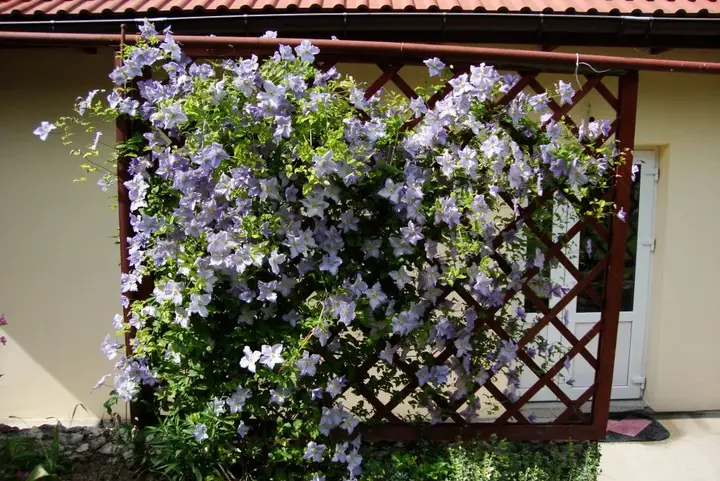 Бахчисарай: Guest House Meraba