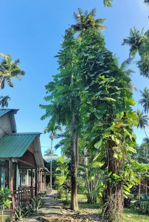Остров Swaraj Dweep: Ocean Pearl Beach Resort