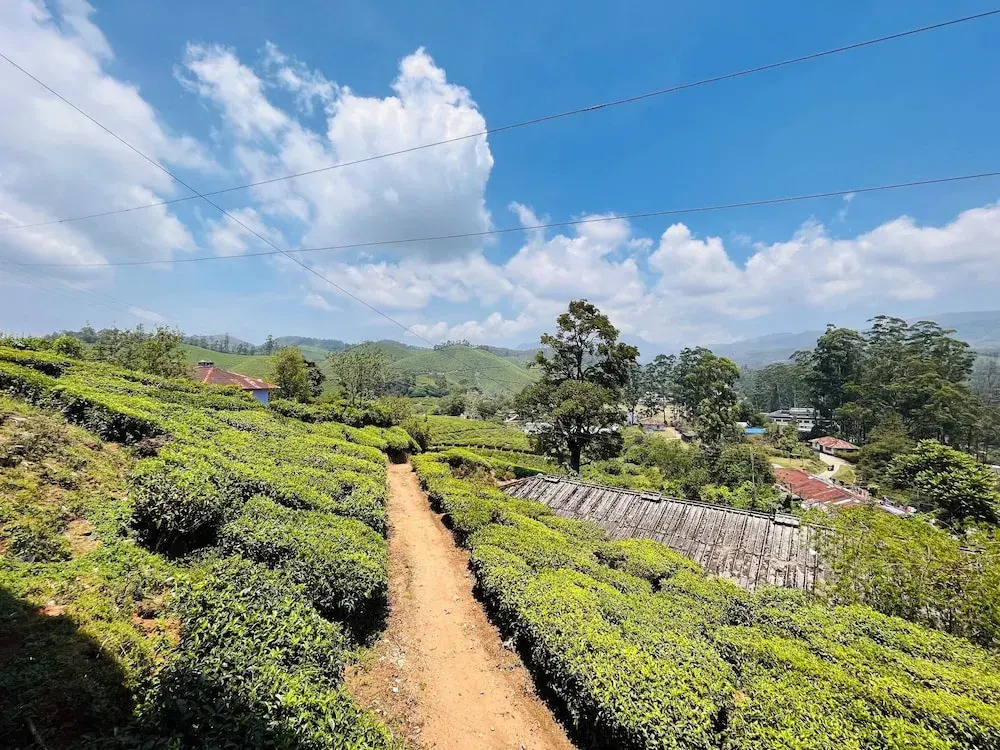 Муннар: Seven Malai Residency