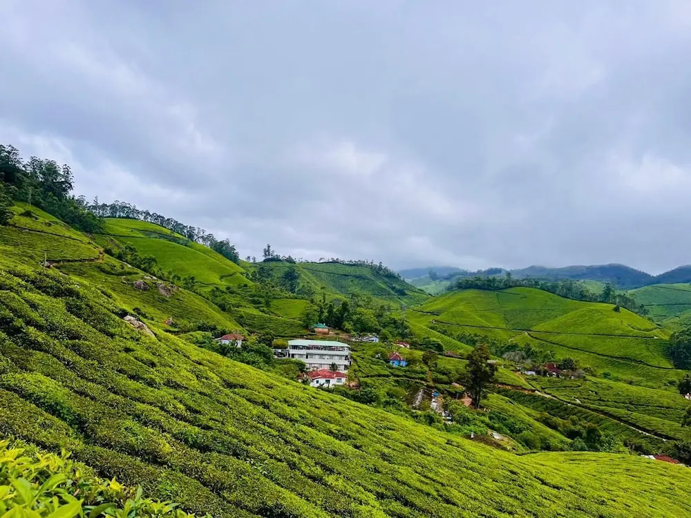 Муннар: Seven Malai Residency