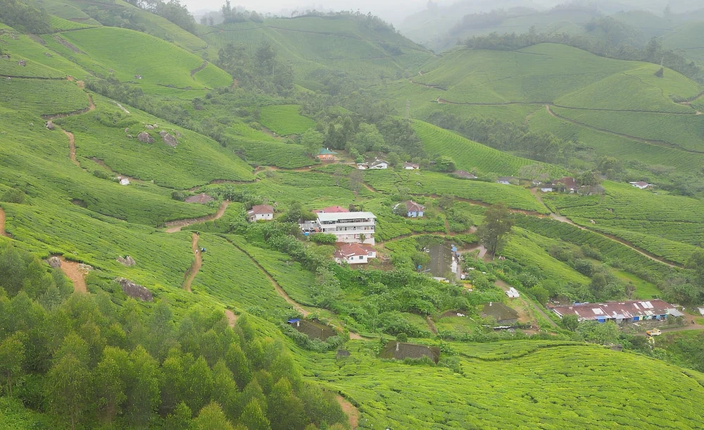 Муннар: Seven Malai Residency