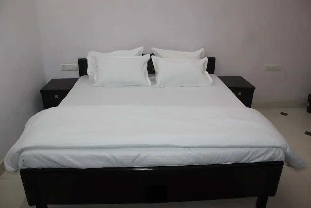 Удаипур: hotel lasani inn