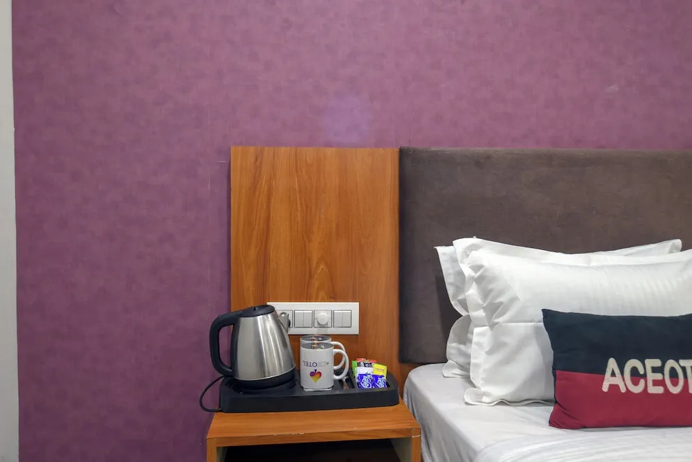 Индаур: Aceotel Inn Vijay Nagar