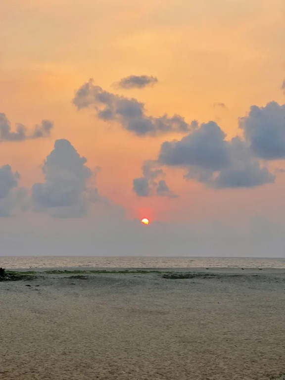 Аллеппи: Eden Homestay Alleppey