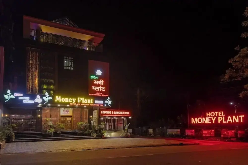 Деревня Валадгаон: Hotel Money Plant