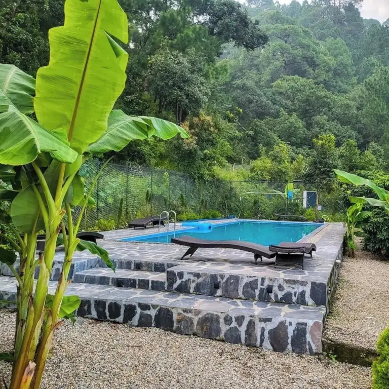 Наинитал: The Cozy Acorn Resort