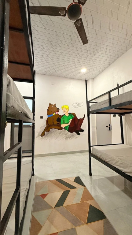Удаипур: Funky Hostel