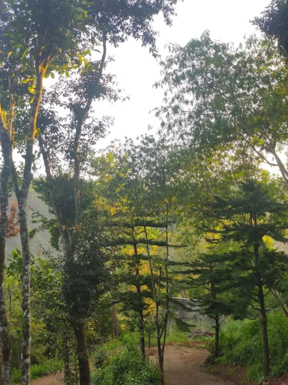 Муннар: Disha plantation Resort