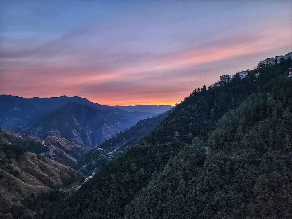 Шимла: Royal Cedar Shimla