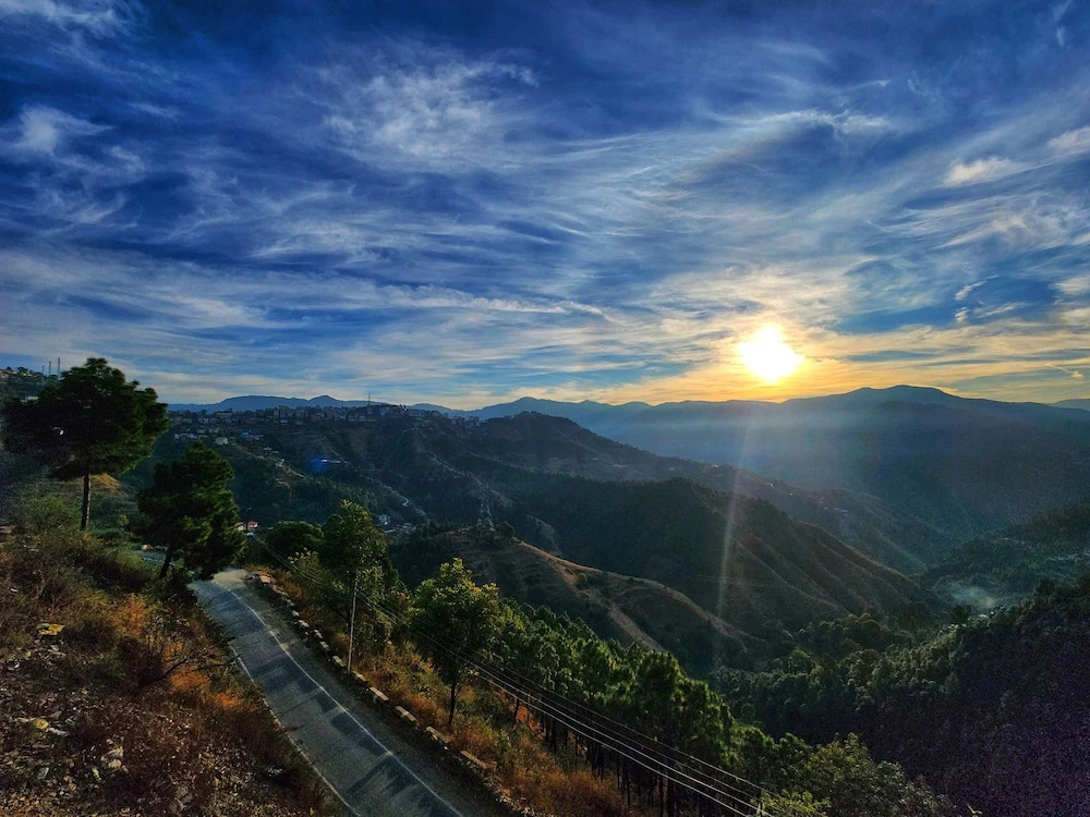 Шимла: Royal Cedar Shimla