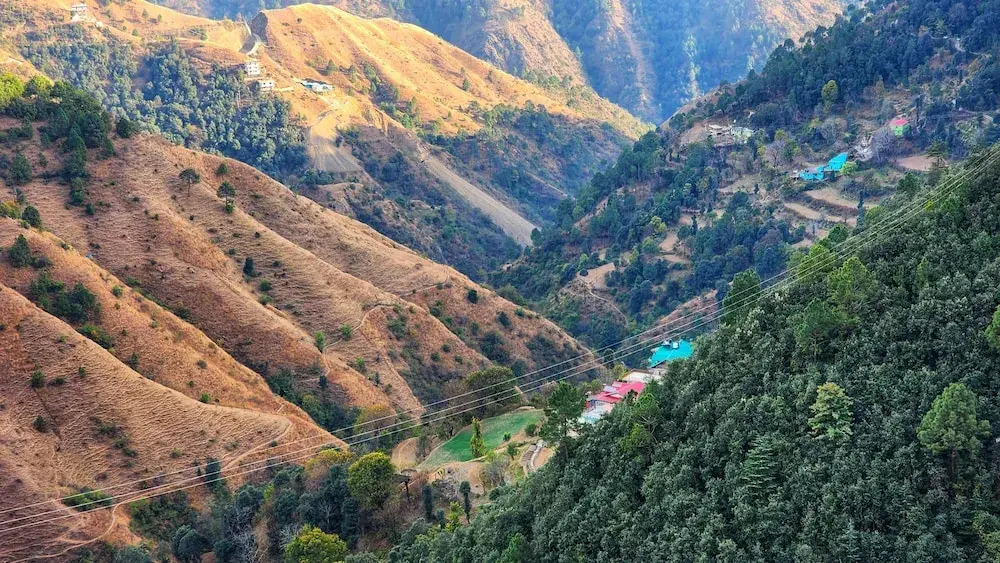 Шимла: Royal Cedar Shimla