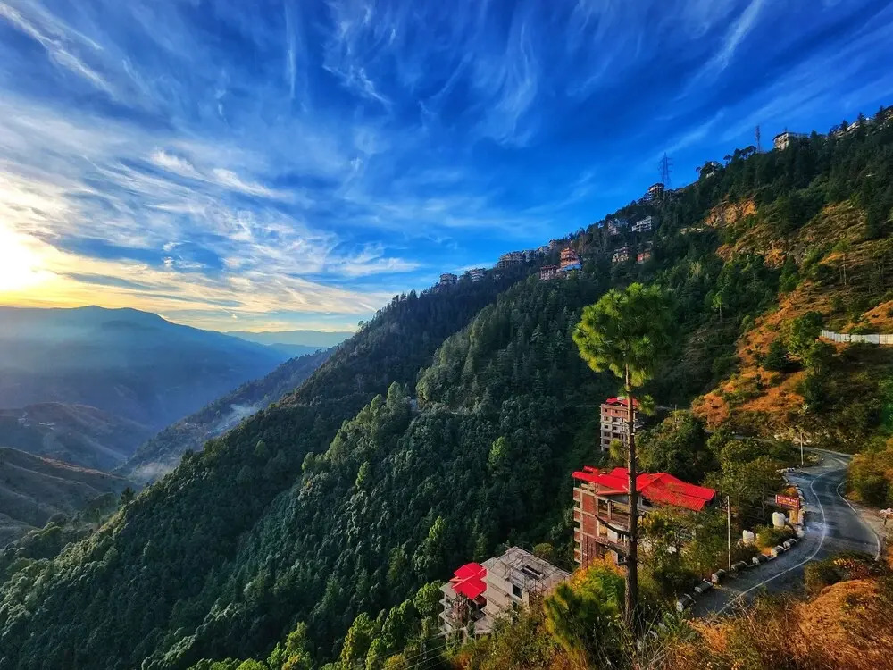 Шимла: Royal Cedar Shimla