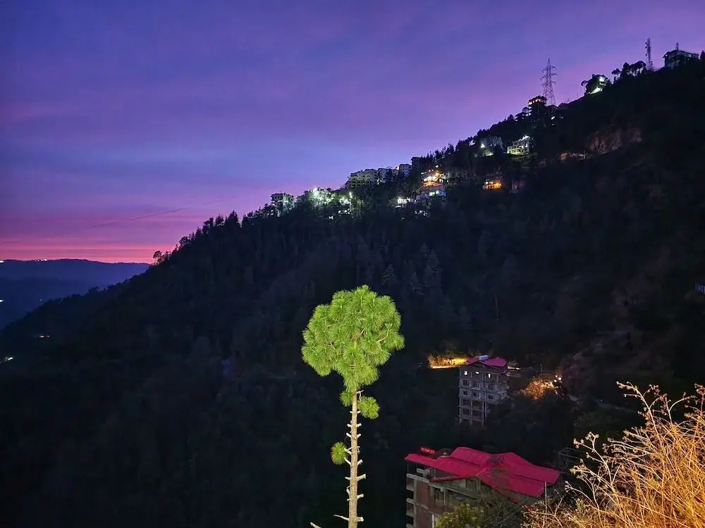 Шимла: Royal Cedar Shimla