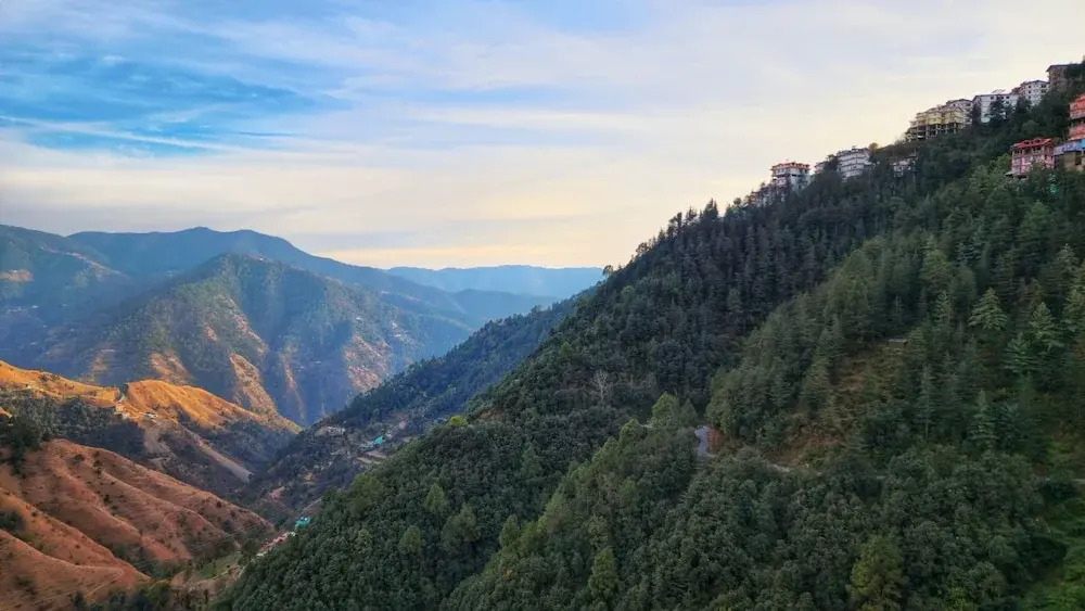 Шимла: Royal Cedar Shimla