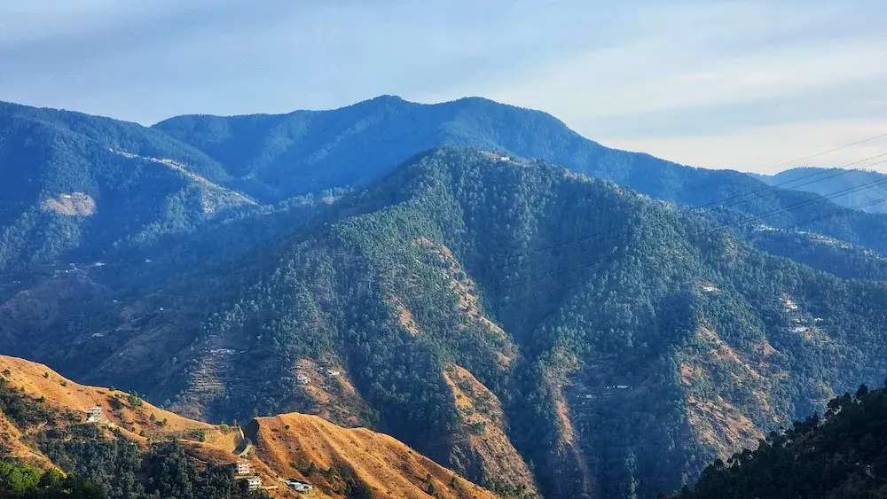 Шимла: Royal Cedar Shimla