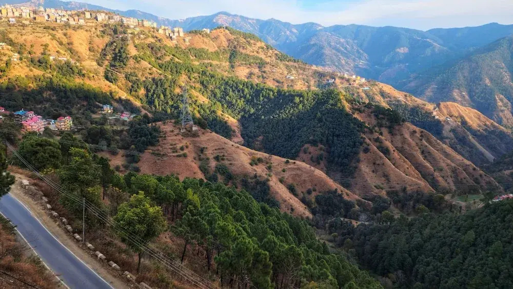Шимла: Royal Cedar Shimla