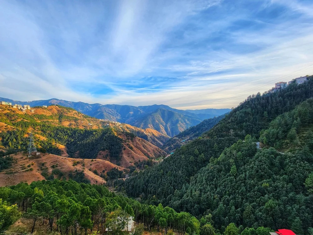 Шимла: Royal Cedar Shimla