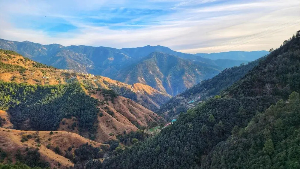 Шимла: Royal Cedar Shimla