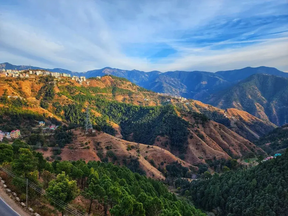 Шимла: Royal Cedar Shimla
