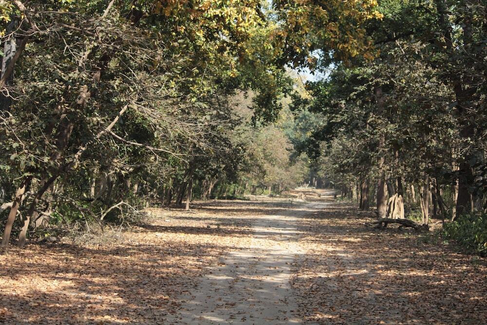 Наинитал: voco Jim Corbett