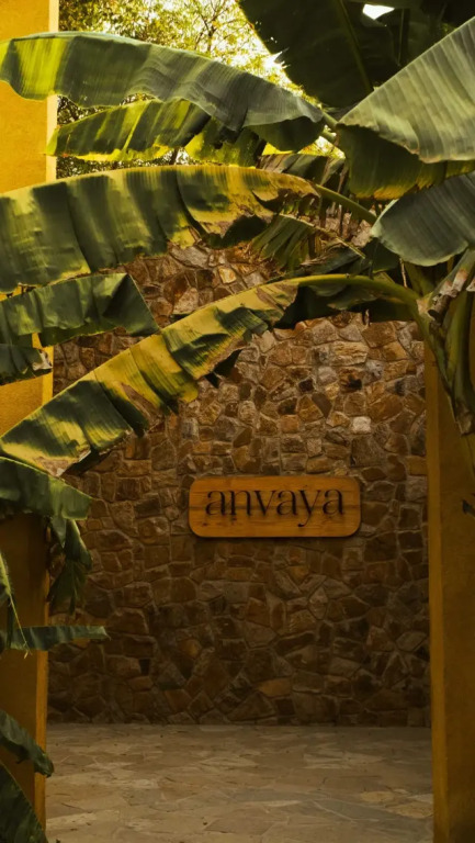 Нью-Дели: Anvaya