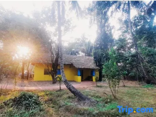 Южный Гоа: Little Yellow House • Insta: @little.yellow.house1943