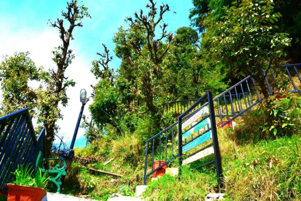 Чамба: Aaroham by Aamod Dalhousie Luxury Cottage Resort