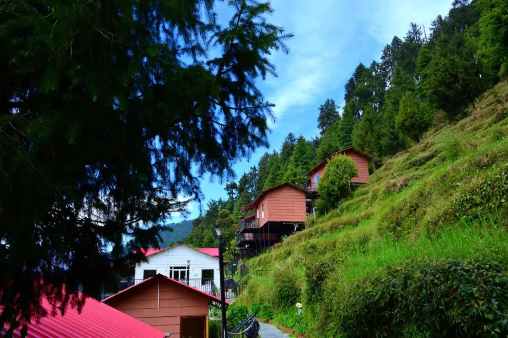 Чамба: Aaroham by Aamod Dalhousie Luxury Cottage Resort
