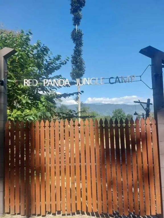 Пеллинг: RedPanda Jungle Camp