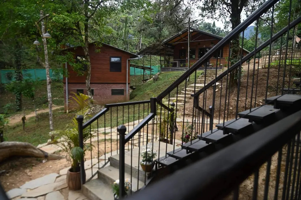 Пеллинг: RedPanda Jungle Camp
