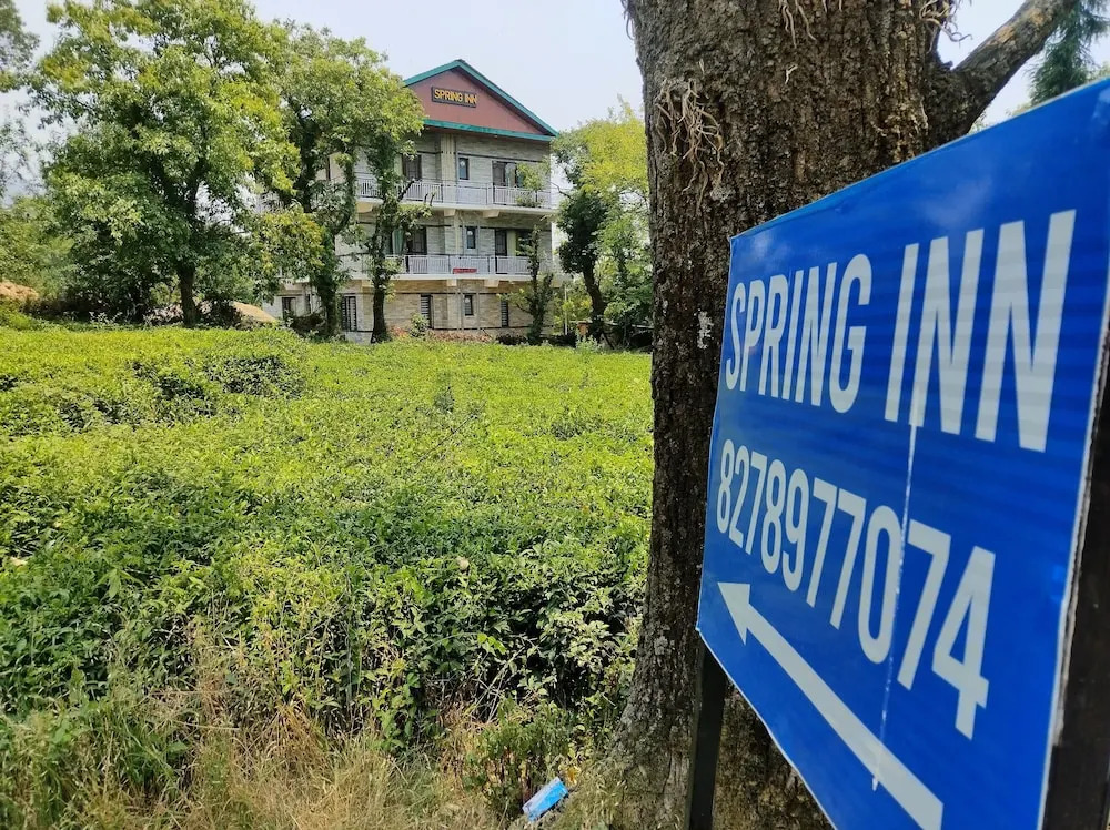 Бир: Spring Inn