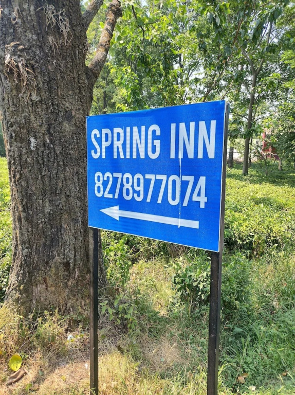 Бир: Spring Inn