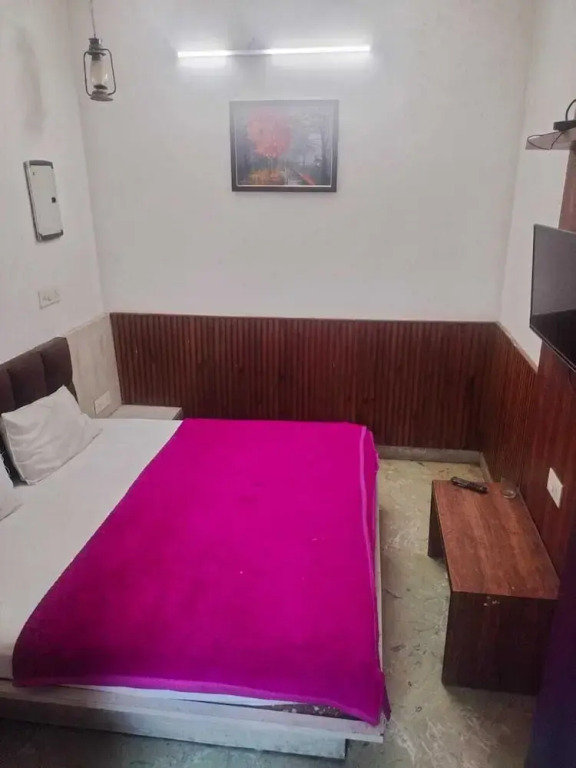 Нью-Дели: Hotel Shri Sai Deluxe