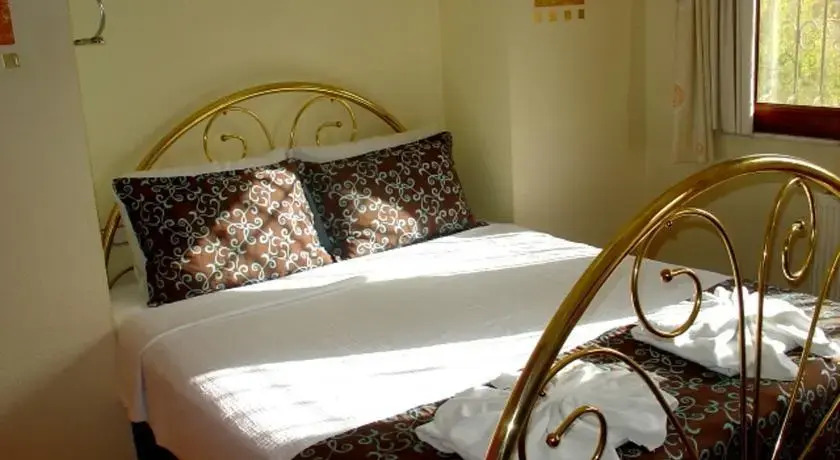 Фетхие: Villa Ankakusu