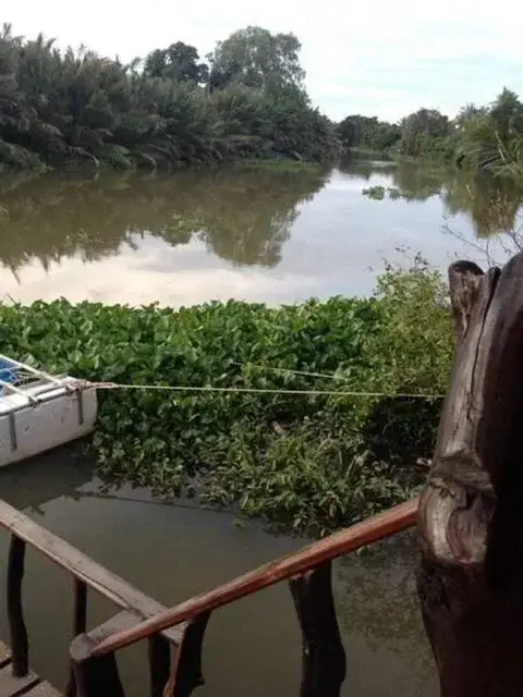 Сураттхани: Floating Island Seafood & Resort