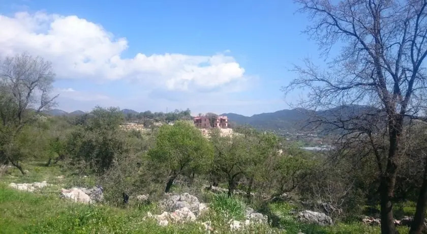 Каш: Apollonia Lodge